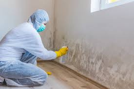 Best Industrial Mold Remediation  in Cedar Hill, MO