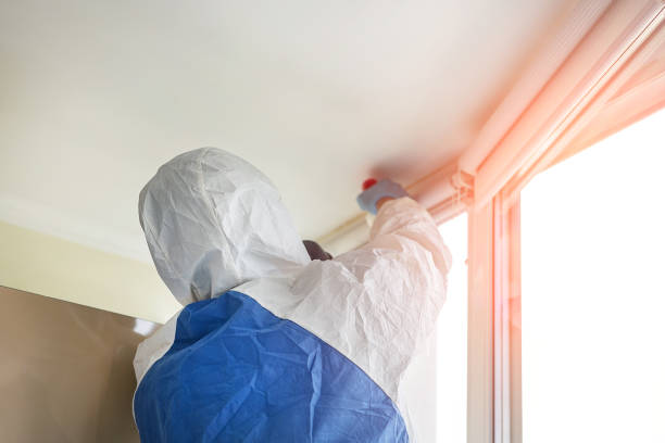 Best Biohazard Mold Removal  in Cedar Hill, MO