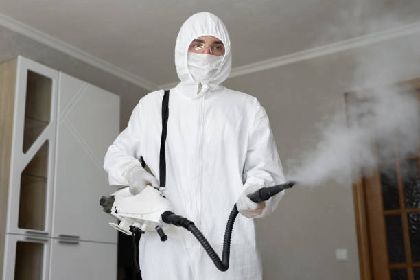 Best Emergency Mold Remediation  in Cedar Hill, MO